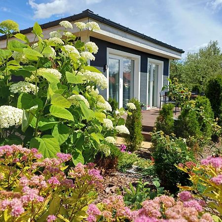 Family Garden House With Free Private Parking & Playground Villa Riga Eksteriør billede